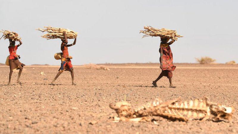 Sécheresse et inondations ensemble… Un pays arabe subit les « fléaux de l’extrémisme climatique »