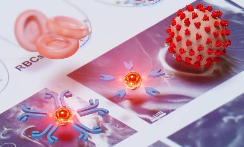 Un test sanguin révolutionnaire détecte des maladies mortelles en quelques minutes…