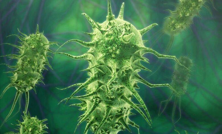 Cent fois plus puissant que les antibiotiques connus…